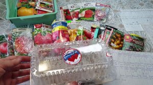 Замочила семена томатов Спасибо за подсказки и советы Какие отложила на потом