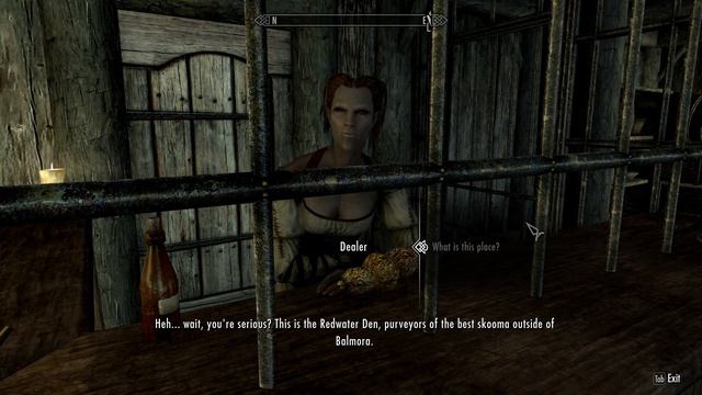 Let's Play Skyrim, Pure Mage, on Legendary (hardcore) -- Arabelle Ervine S04 E05 смотреть онлайн