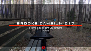 Brooks Cambium C17 Carved на гравийном велосипеде: отзыв после 280 км