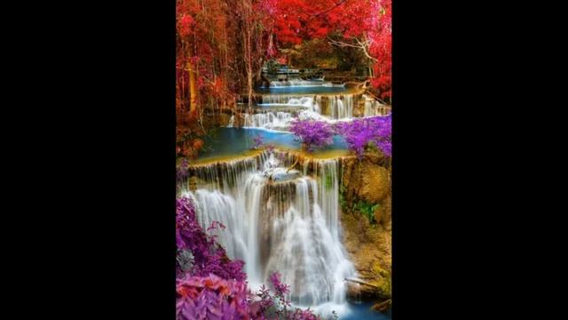 (без названия) Пак Сон Ён смотреть онлайн