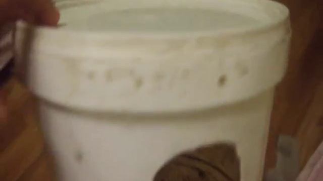 Кормушка для птиц. Кормушка своими руками.