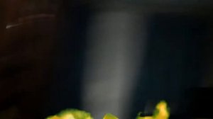 ВЫЗВАЛИ БИЛЛ ШИФР В РЕАЛ ЛАЙФ В РЕАЛЬНОЙ ЖИЗНИ РЕАЛЬНЫЙ БИЛЛ УБИЙЦА УБИЛ НАС