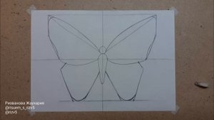 Рисуем бабочку. Симметрия