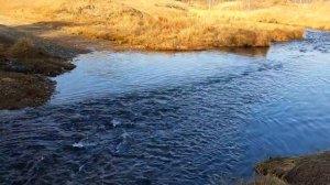 Село Сосновка Усольский район  Иркутская область