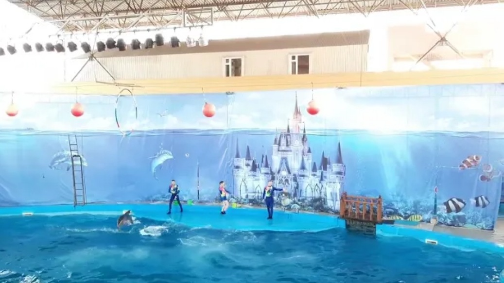 Лазаревское ? Сходили с детьми в ДЕЛЬФИНАРИЙ ? смотреть онлайн