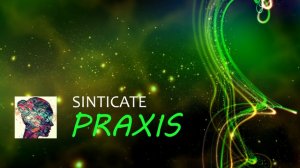 Sinticate - Praxis
