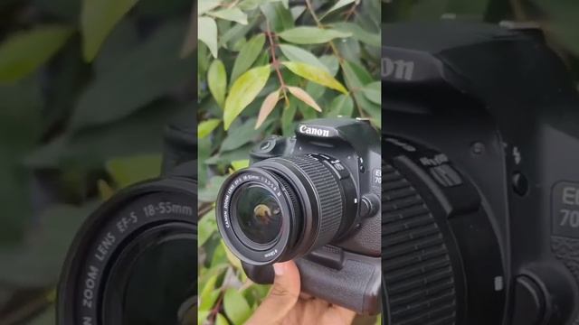 Canon 700d dslr camera status video