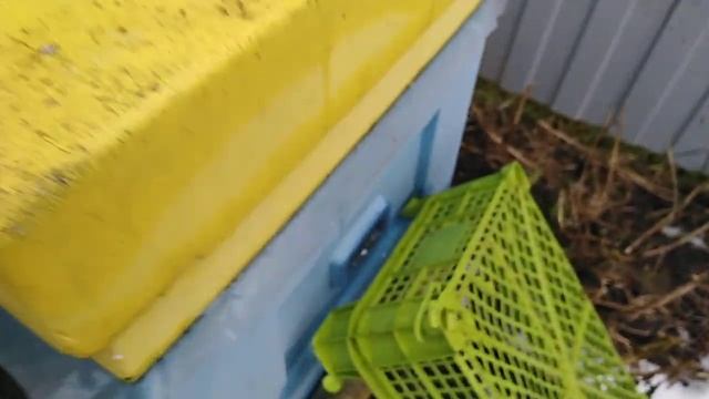 Кормим пчёл канди в декабре. смотреть онлайн