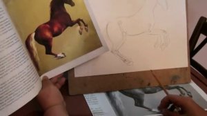 Как нарисовать лошадь или коня. Часть 1
