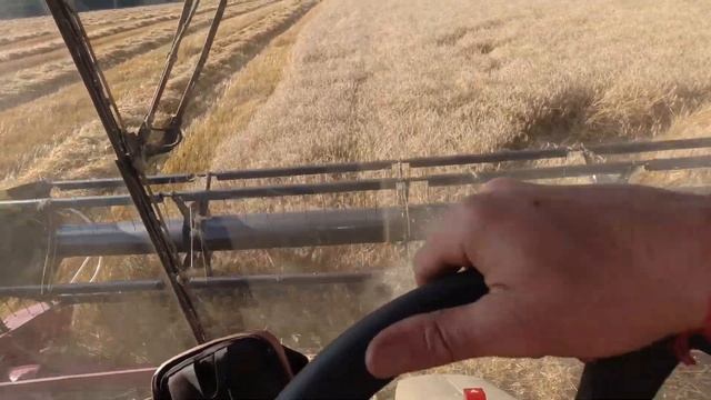 Мы уходим с этих земель. Продолжаем жатву 2021 на четырёх комбайнах Палессе GS12 смотреть онлайн