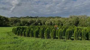 Кудыкина гора. Гостиница на Кудыкиной горе. Обзор гостиничных номеров на Кудыкиной горе.