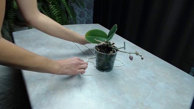 Кашпо за 1 минуту. Полюбуйтесь, как просто и классно. смотреть онлайн