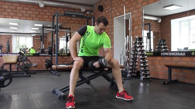 bodymaster : Концентрированные сгибания с гантелей смотреть онлайн