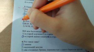 Проверка тетрадей по литературному чтению - 3 класс