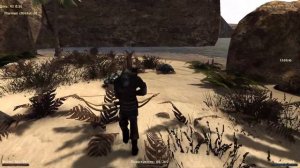 #157 КОМПАС ГАРРЕТА, ЧЕЛОВЕК С КОЛЬЦОМ. Готика 2 возвращение 2.0 Альтернативный Баланс 2020, Сантей