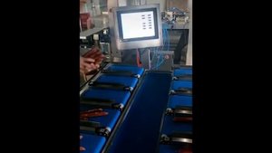 Автоматический весовой дозатор для рыбы, соломки, рыбных палочек, снеков, колбасы, мяса и др