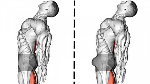 Упражнения Кегеля для Мужчин (упражнения для Мышц Таза)