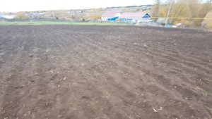 Посадка чеснока 2021. День 3