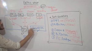 GIT Module - peptic ulcer 1