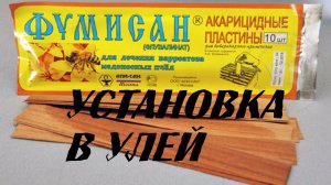 Установка акарицидных полосок в улей