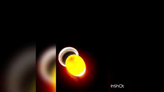 Яйцо волнистого попугая. Зарождение жизни волнистого попугайчика. смотреть онлайн