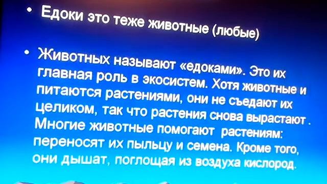 Что такое "экологическая система?"