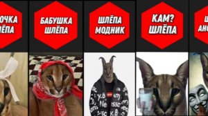 Разновидности Шлёпы (шлепа мем)