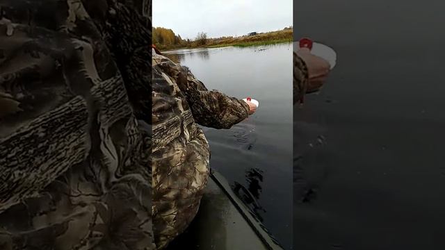 Сорвалась Щука смотреть онлайн