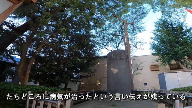 柴又駅から2分 柴又八幡神社　1300年前にも寅さんがいた　古墳の上の御神域　100年前の日本人の写真とともに смотреть онлайн