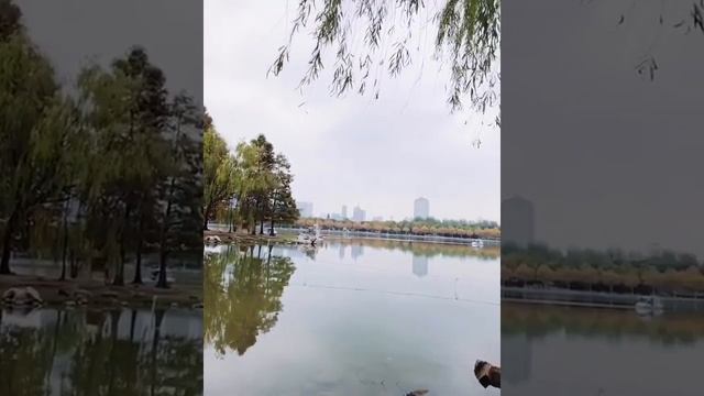 [리블링스상해] Century Park Shanghai 공원 풍경이..