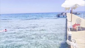 Египет, Хургада 2023: Обзор отеля Jasmine Palace Resort & Spa 5*