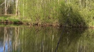 Рыбалка в черте городо на Реке Охта