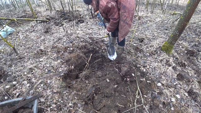 ВЫВОЗИМ ДЕНЬГИ ИЗ ЛЕСА В МЕШКАХ смотреть онлайн