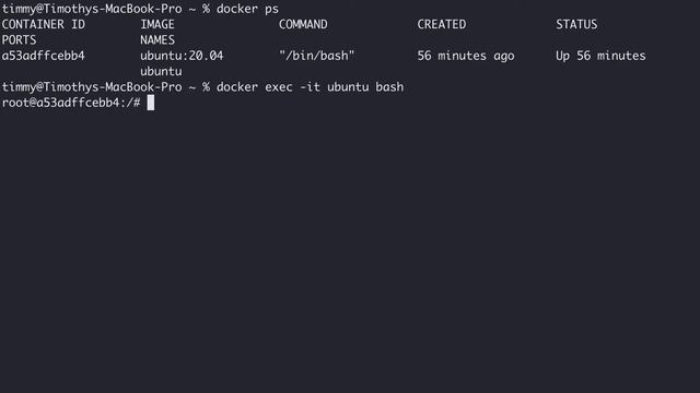 How to bash into docker container ubuntu 20.04 смотреть онлайн