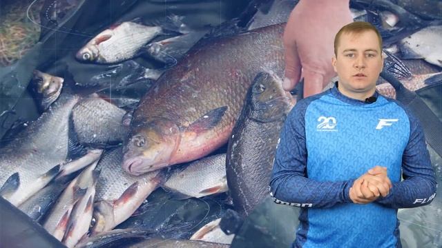 Tregaron Carbon Net Head –легкие, жесткие и прочные головы подсаков для фидерной и поплавочной ловл смотреть онлайн