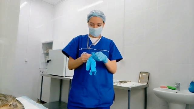 Влог #18. Переезд в Россию. С самого утра и до самой ночи за 20 минут вместе со мной) смотреть онлайн