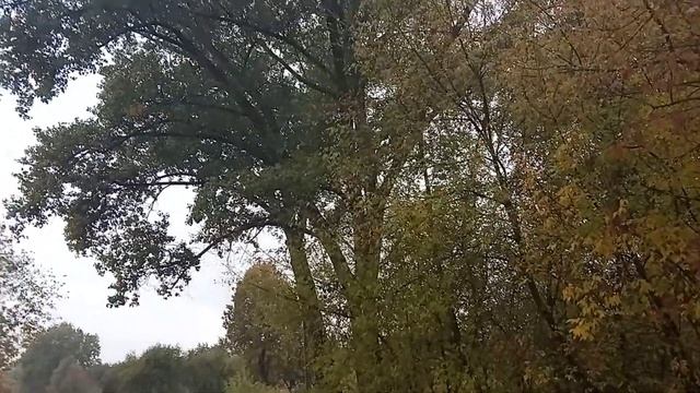 Поехали в деревню♥️||плохая погода ?||домашний хлеб ? смотреть онлайн