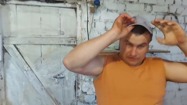 Процедуры для птицы.