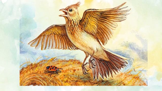 Николай Сладков «Чья проталина?» смотреть онлайн