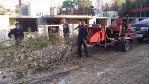 Измельчитель Медведь