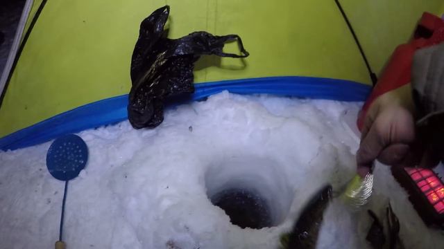 Зимняя рыбалка / НАЛИМ  / часть 2 / Winter fishing / BURBOT / part 2