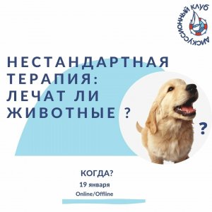 НЕСТАНДАРТНАЯ ТЕРАПИЯ: КАК ЖИВОТНЫЕ ЛЕЧАТ?