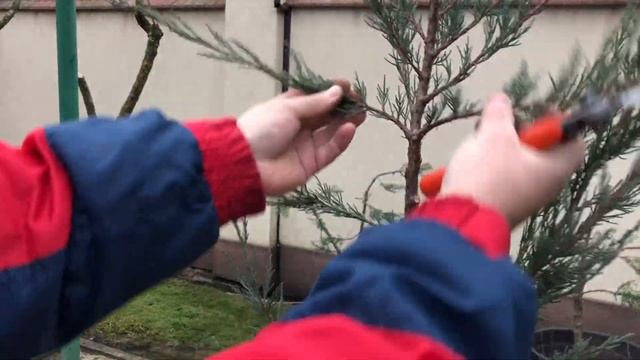 Создаем Ниваки. МАСТЕР КЛАСС