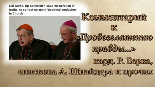 Комментарий к «Провозглашению правды ...» кард. Р. Берка, епископа А. Шнайдера и прочих