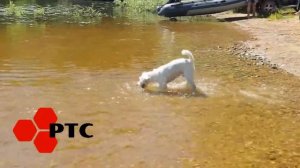 Один день на Можайском водохранилище с лодкой