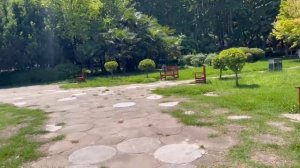 Учеба в Китае | Как поступить в университеты Китая. Ответы на вопросы. 14.05.2023 #china #video #re