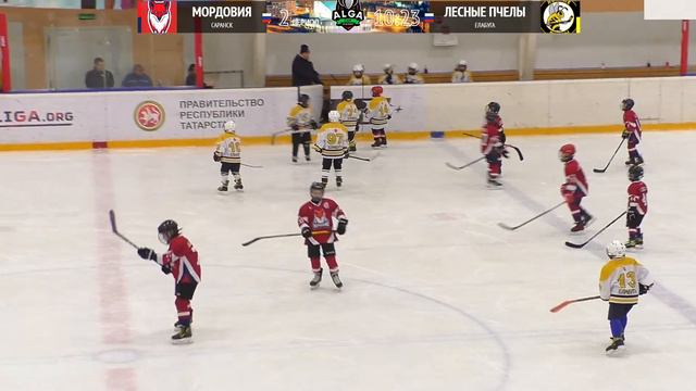 ХК Мордовия (г. Саранск) - ХК Лесные Пчёлы (г. Елабуга) смотреть онлайн