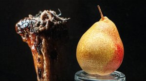 Обычные Объекты в Макро Съемке