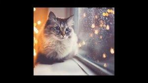 Песня: я иду и пою обо всём хорошем...