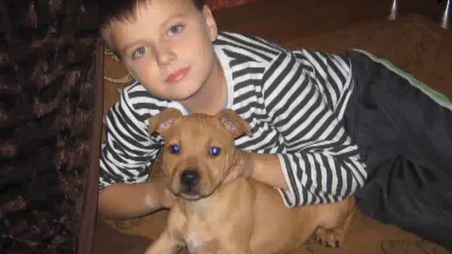 Лёха, с Днём Рождения!!!! смотреть онлайн